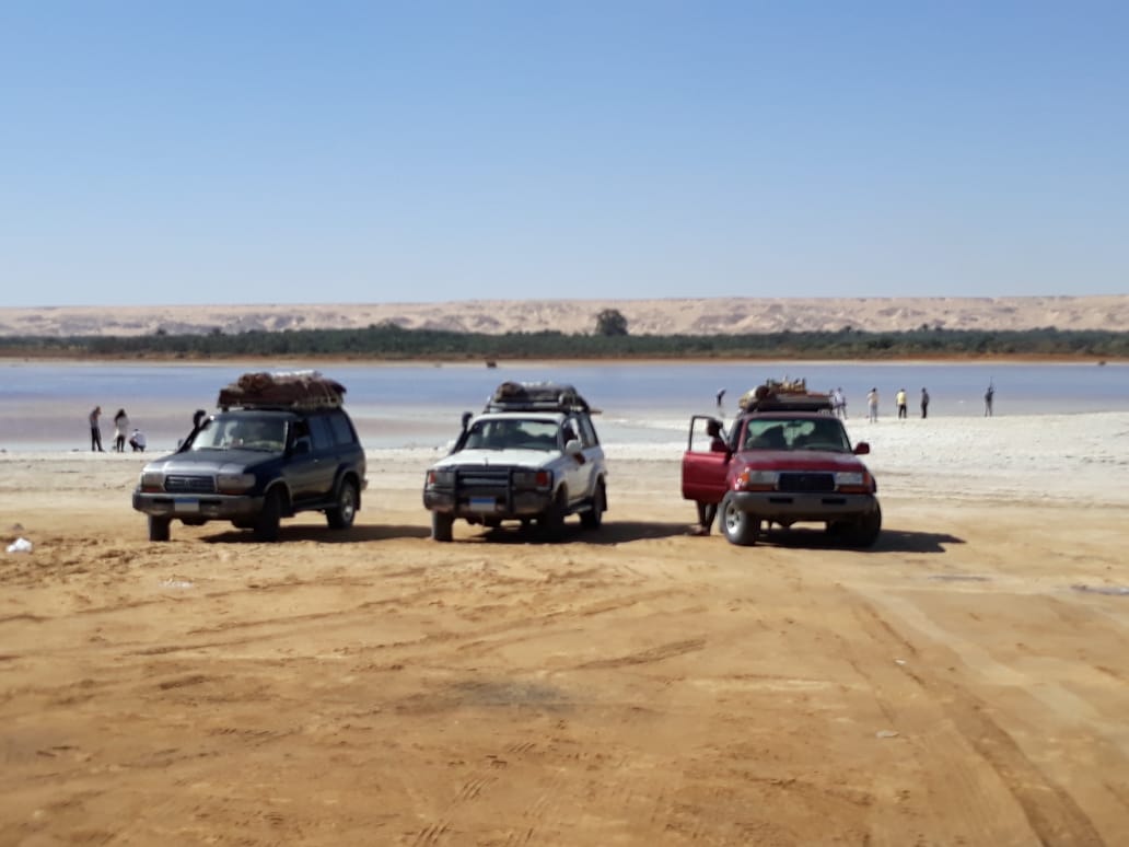 Bahariya Oasis tour