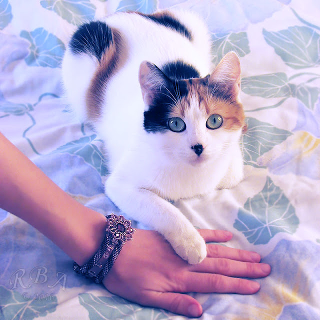 Cute cat Masya beaded bracelet with crystals