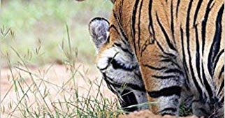 Books I Read In 2020 #2