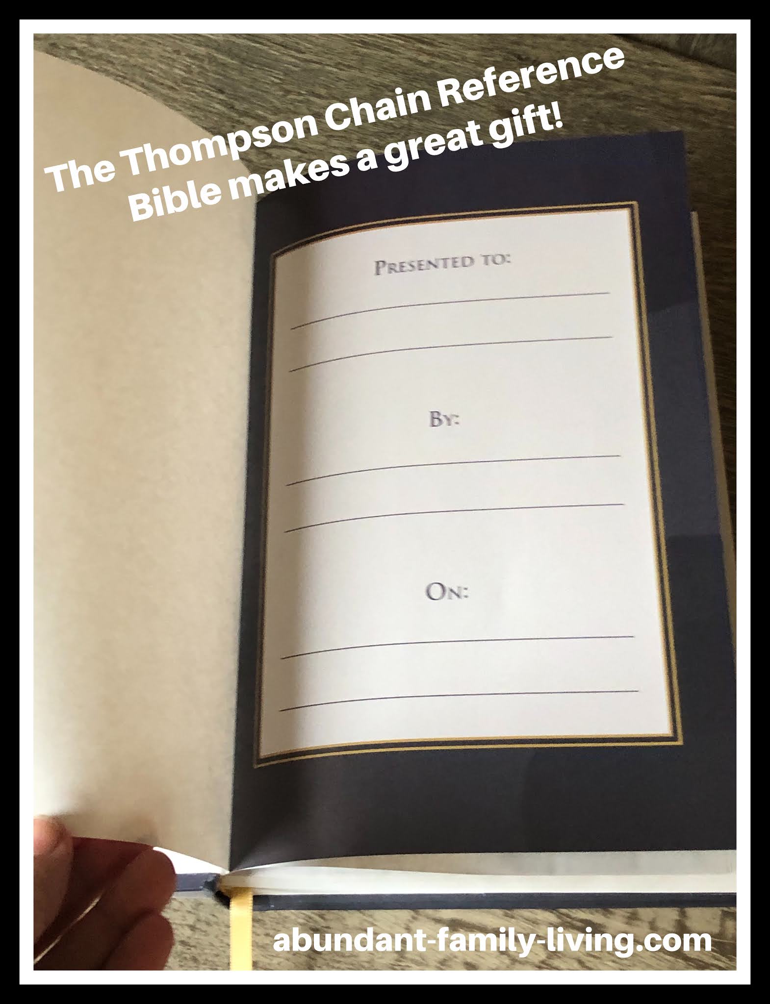 Abundant Family Living The Thompson Chain Reference Bible A Review