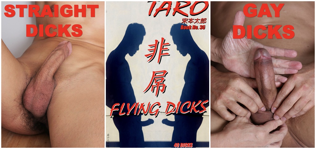 Taro 37 + Book 36 – Flying Dicks