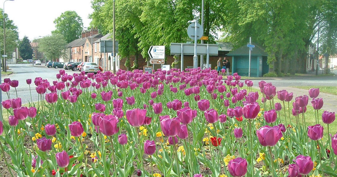 Nigel Fisher's Brigg Blog BRIGG TOWN COUNCILLORS TO CONSIDER WIDE