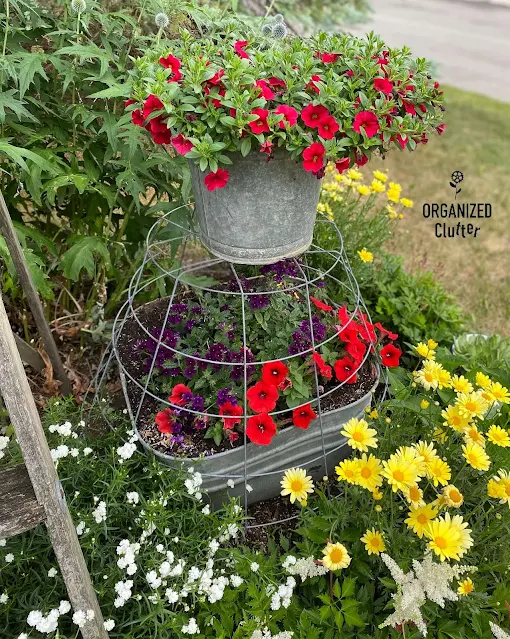 Photo of junk garden flower border