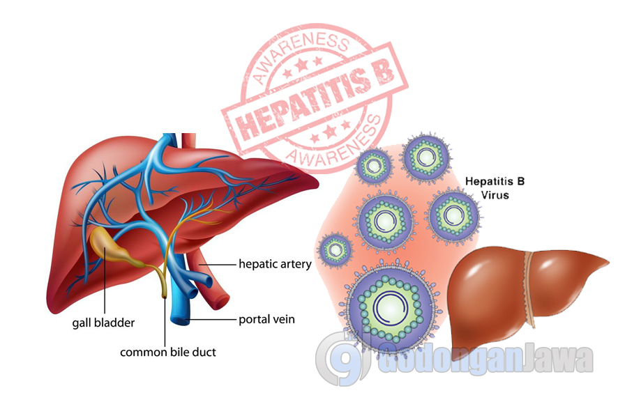 гепатит б где сделать