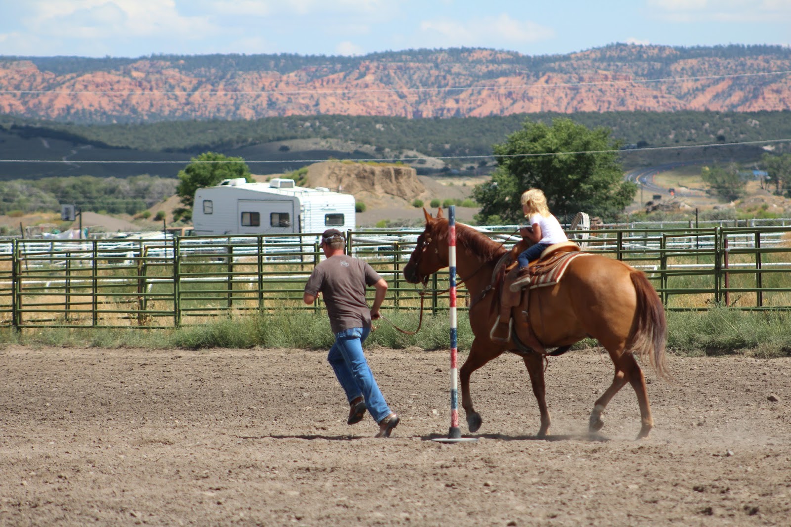 Finchtastic Horse Fun Day Garfield County Fair