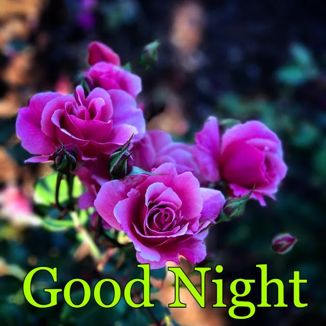 Good Night HD Images Good Night HD Images