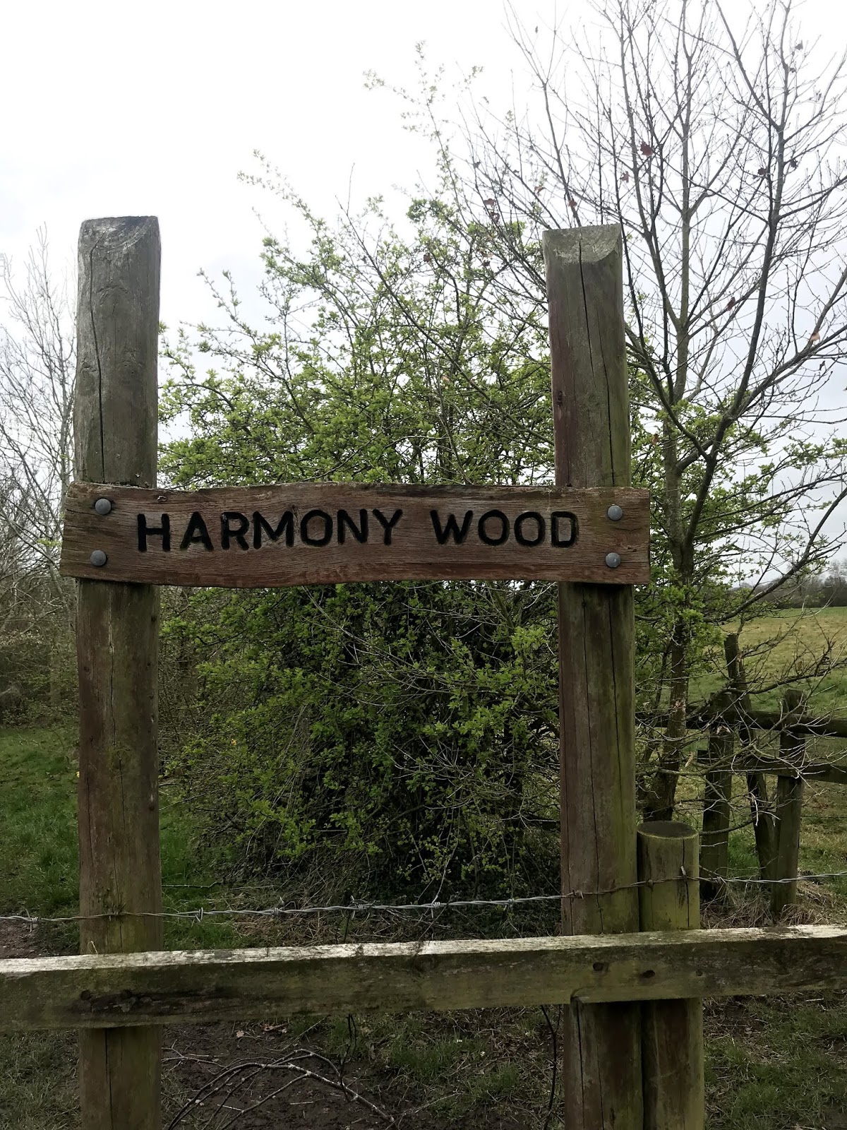 Wythall Walks Harmony Woods