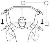 Organon �� ������� ���������: ����.