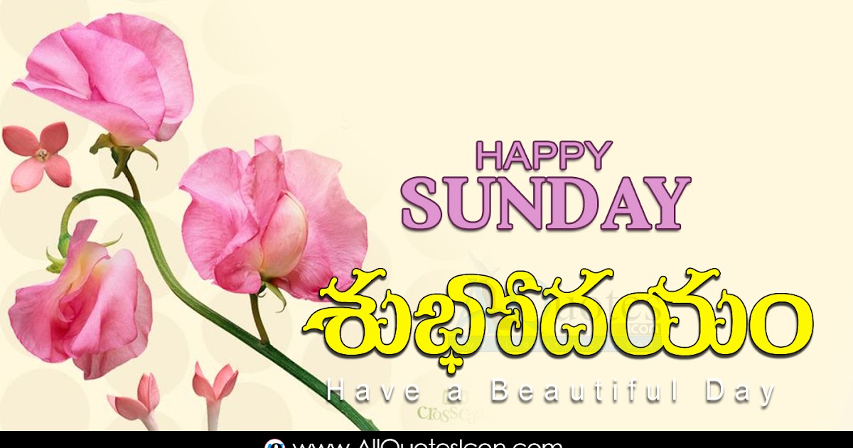 Awesome Happy Sunday Good Morning Quotes in Telugu Images HD Wallpapers
