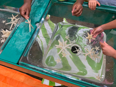 kids reaching into water-filled bins with starfish