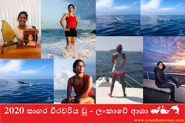 2020 සාගර වීරවරිය වූ - ලංකාවේ ආශා 🐋🐳🐬🦈 (2020 Ocean Heroine - Asha in Sri Lanka) - Your Choice Way