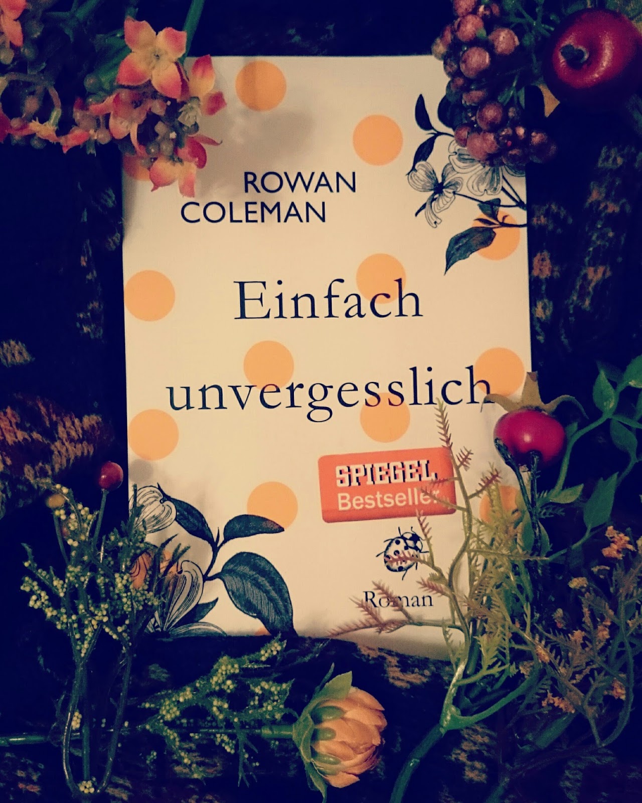 Booklover Dreamcatcher 2016