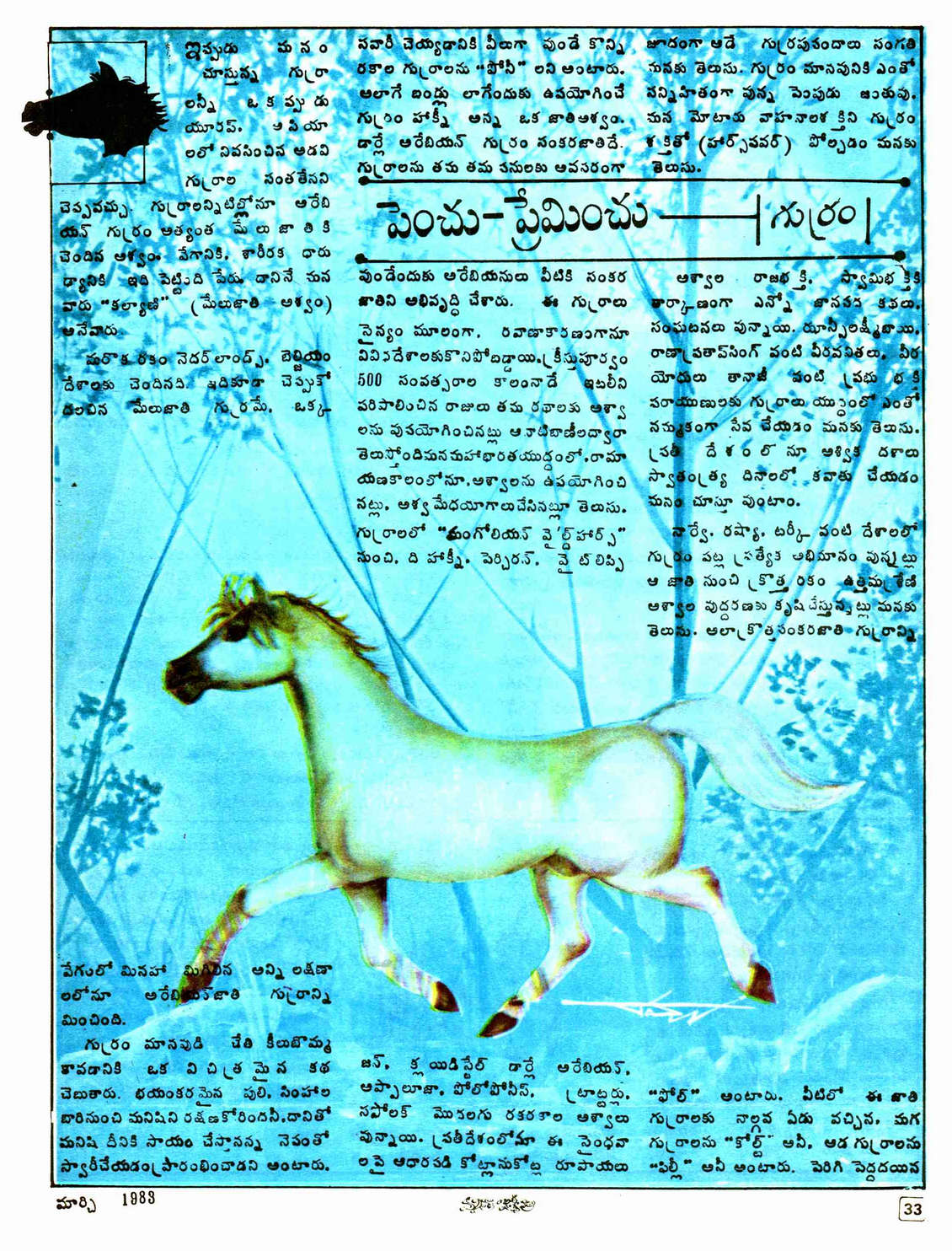 TELUGU WEB WORLD DO YOU KNOW ABOUT HORSE TELUGU ARTICLE ABOUT THE