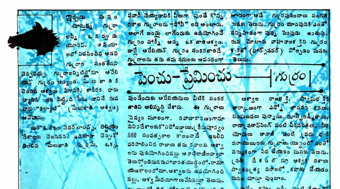TELUGU WEB WORLD DO YOU KNOW ABOUT HORSE TELUGU ARTICLE ABOUT THE