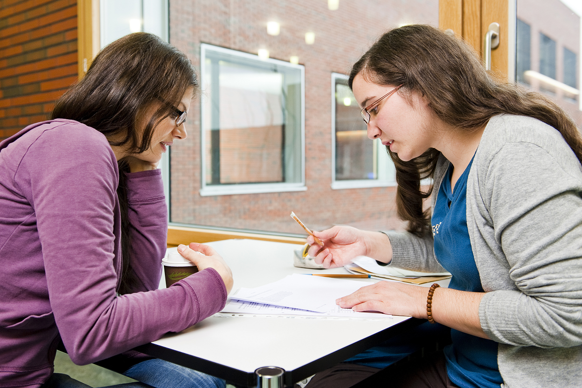 Dissertation help services picture