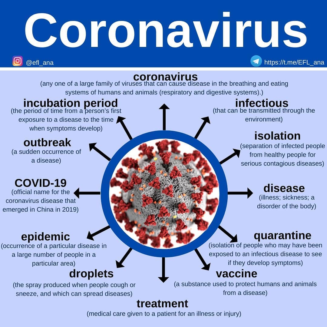 Штаммы коронавируса