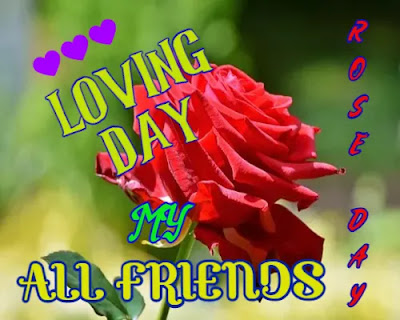 Happy Rose Day Wishes + Rose Day Images Download Happy Rose Day Wishes + Rose Day Images Download