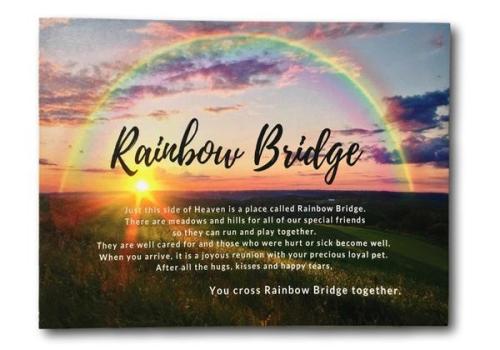 Rainbow Bridge Remembrance Day