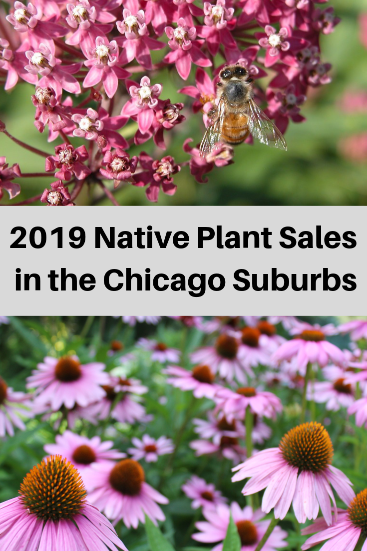 A Little Time and a Keyboard 2019 Native Plant Sales in the Chicago