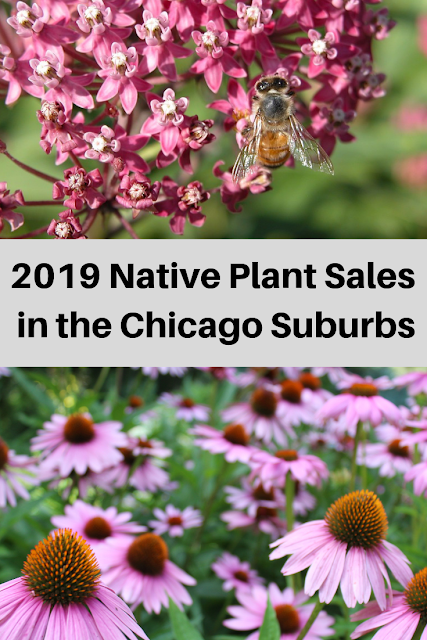 2019 Native Plant Sales in the Chicago Suburbs