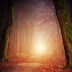 30+ Best orange wallpaper free download