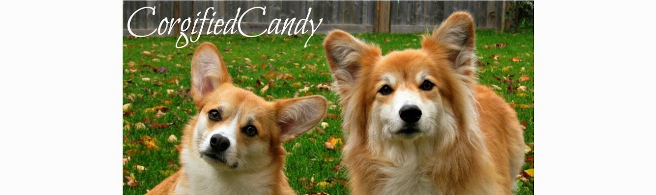 Corgified Candy