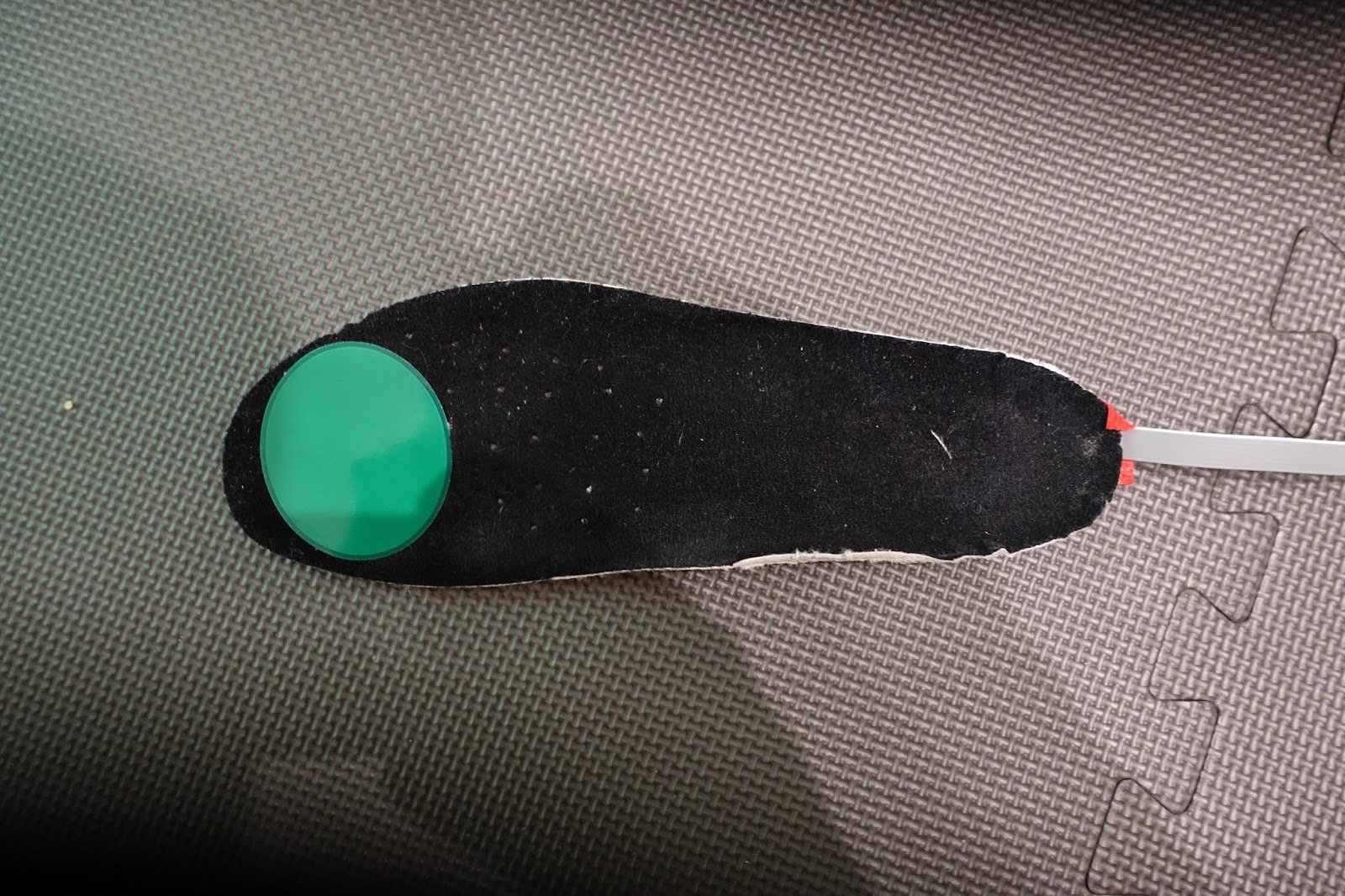 Gilian Lee's Mountaineering Adventures Hotronics FootWarmer S4 Custom