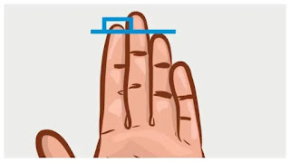 Tes Kepribadian: Panjang Jarimu Dapat Ungkap Tiga Hal Tentang Penting Kepribadianmu ilustrasi ukuran jari - Ikuti tes kepribadian ini dan temukan 3 hal tentang kepribadianmu