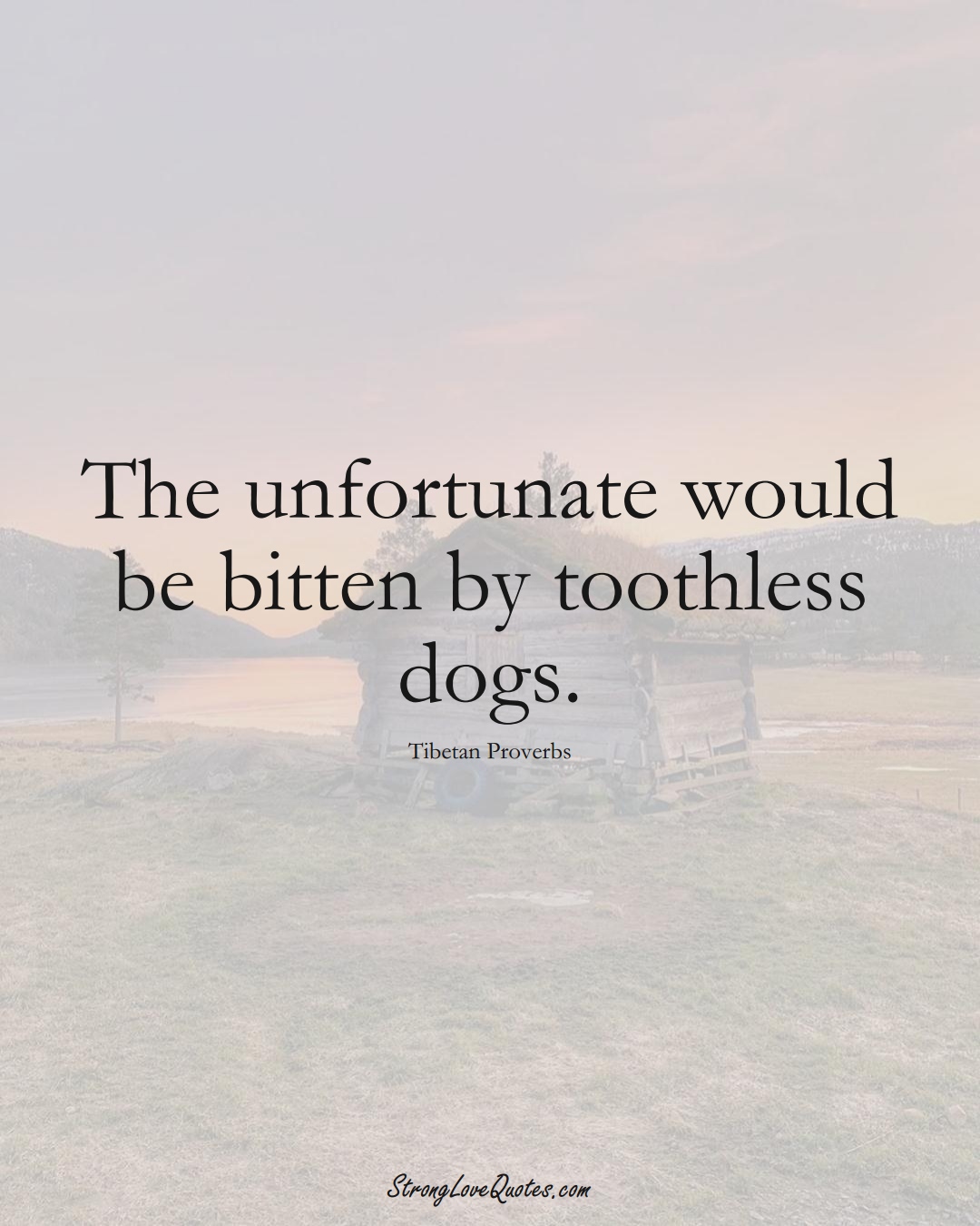 The unfortunate would be bitten by toothless dogs. (Tibetan Sayings);  #aVarietyofCulturesSayings