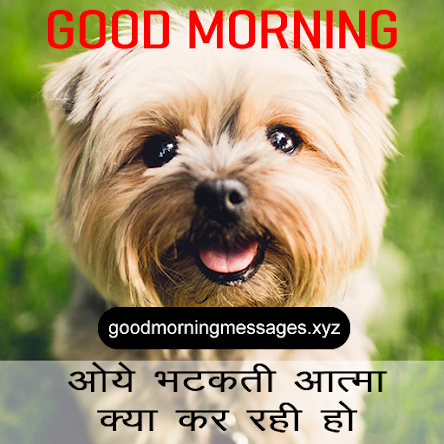 Cute Puppy Good Morning Pictures With Message In Hindi