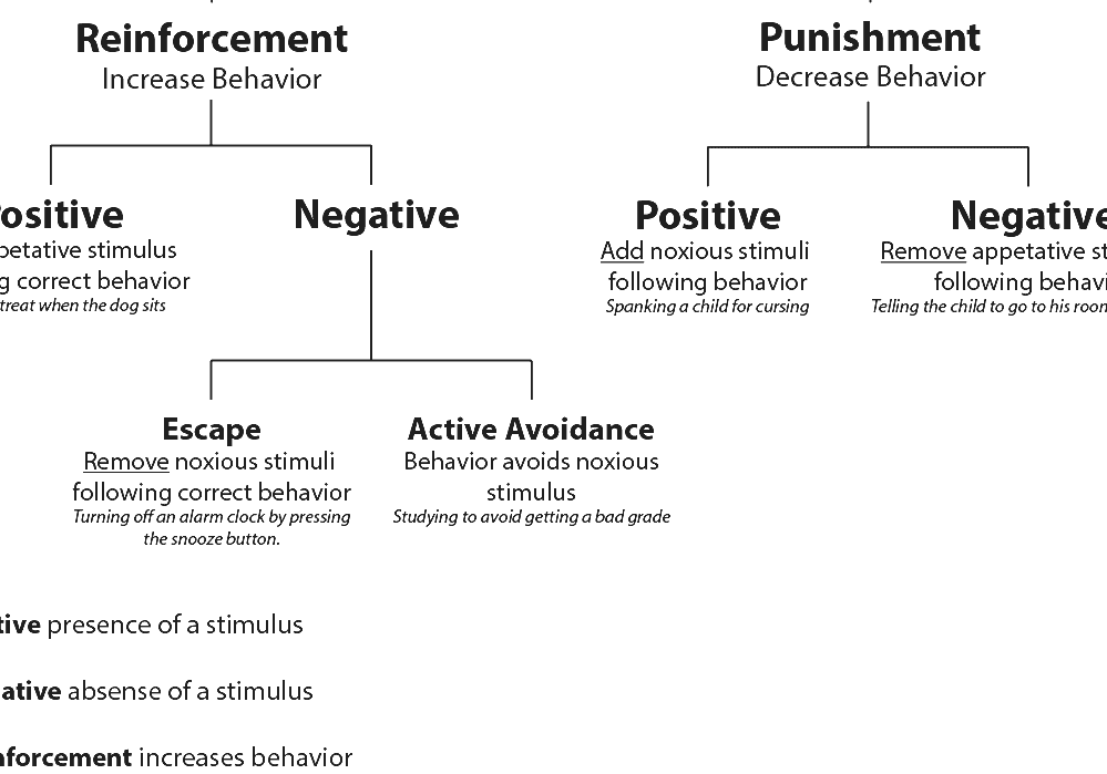 The Principals Of Operant Conditioning