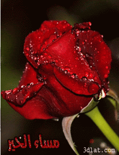 صور مساء الخير 2021 ممكن تهديها لاصدقائك,صور صباحيات 2021,صور مسائيات 2021 ,Good afternoon,صور تصبح على خير 2021,صور صباح الخير