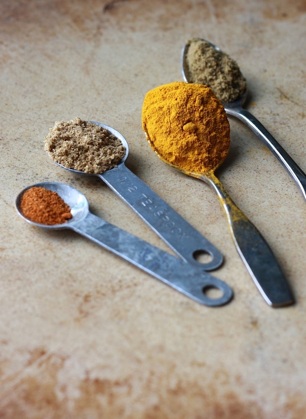 Turmeric, coriander, cumin, and cayenne pepper spices for Coconut Turkey Curry by SeasonWithSpice.com