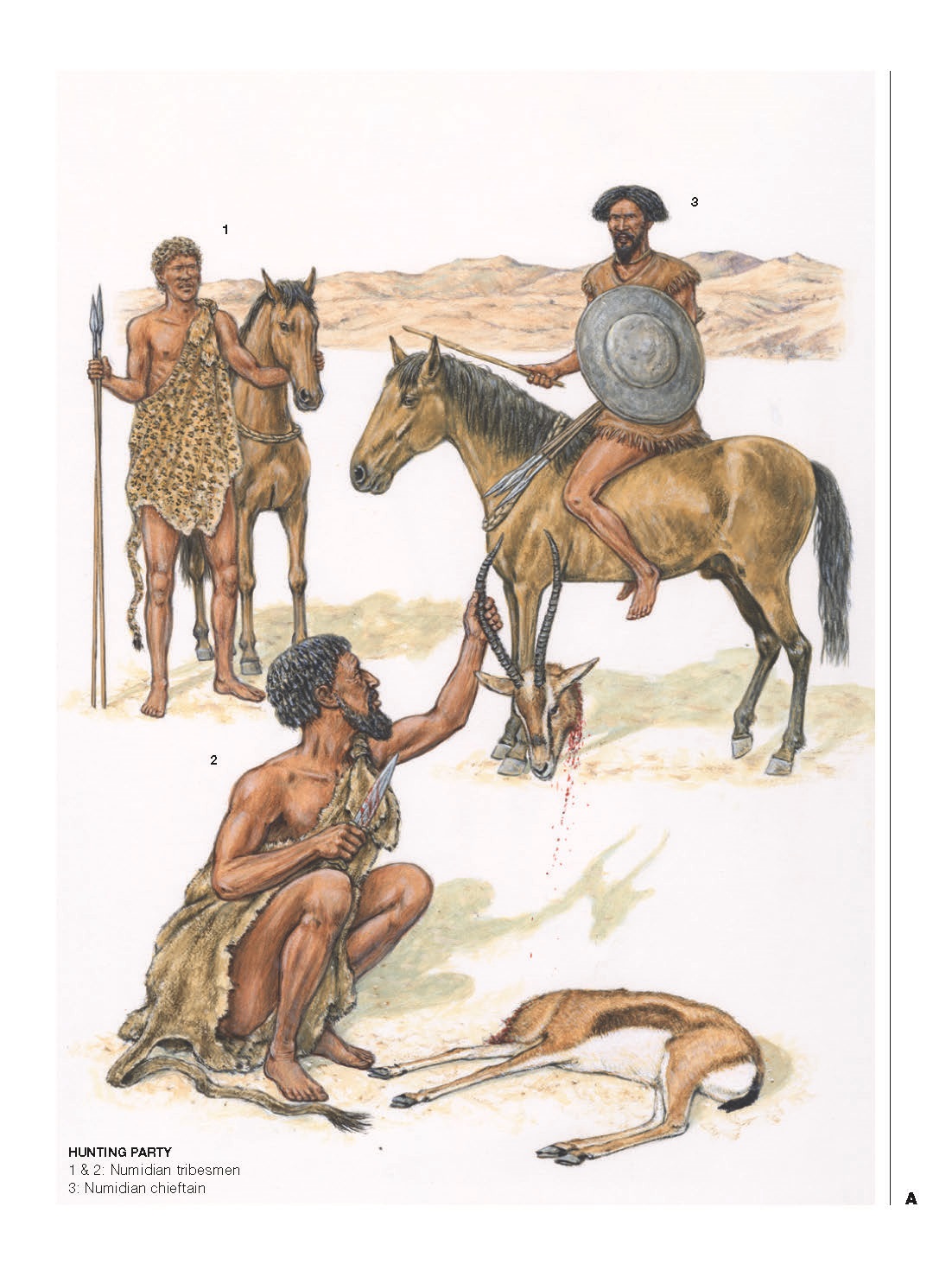 imágeneshistóricas.blogspot.es The Numidians 300 BCAD 300