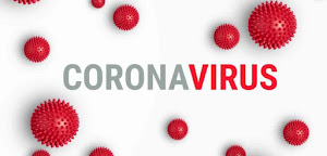 Internet sur l’épidémie de coronavirus le plus consulté au monde