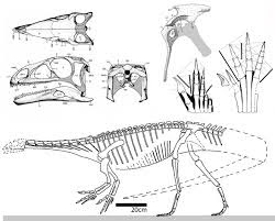 Triassic dinosaur