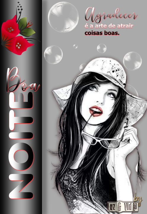 NOVO%2B10%2B%2528MB%2529maryluz.png