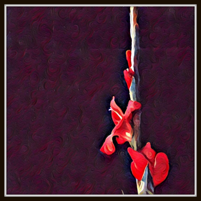 everyday sights: August 2016