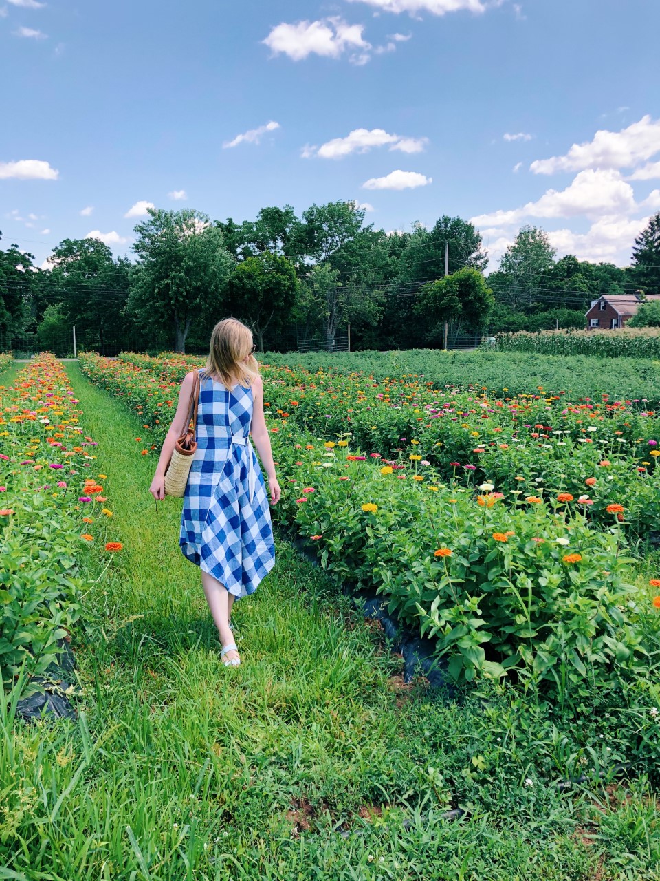 Flower Picking at Maple Acres Farm Organized Mess