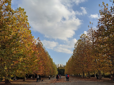 color test_tree and sky_Pixel 4