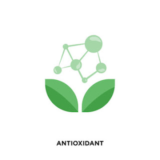 benefits of healthy antioxidant plant aloe vera aloe have anti oxidants