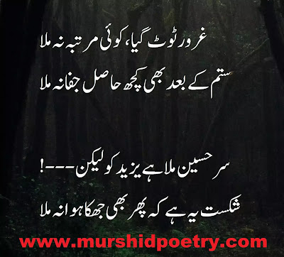 muharram poetry || karbala poetry || Imam hussain poetry