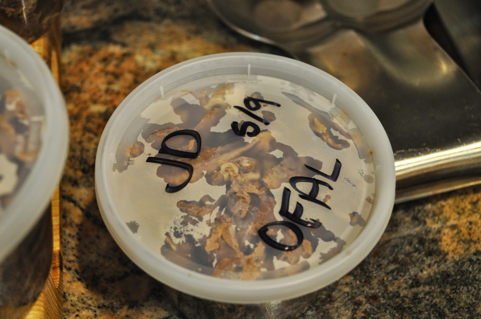 silvieon4: Tasty Tuesday OFFAL the DELICIOUS