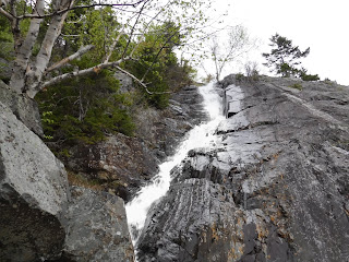 Willey Brook Ravine Falls, Mt Willard, Crawford Notch, NH