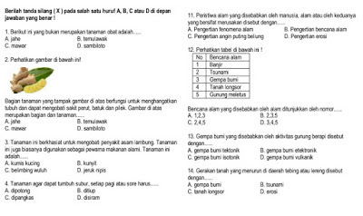 Mempersiapkan Diri untuk Penilaian Akhir Tahun: Panduan Lengkap Download Soal PAT PLH Kelas 5 Semester 2 Tahun 2018
