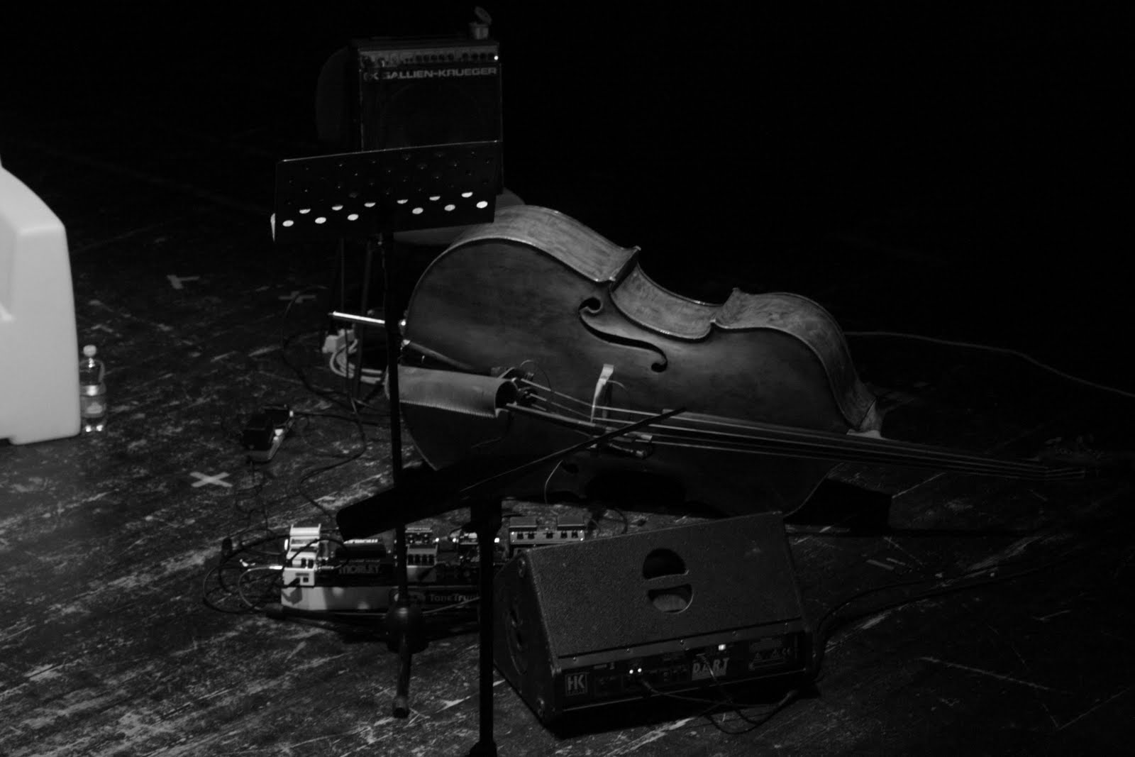 App Foto In Bianco E Nero Con Particolari Colorati