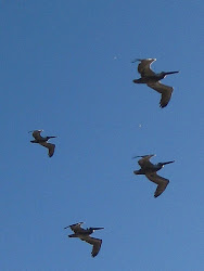 april gathering clouds rain snow looking were south