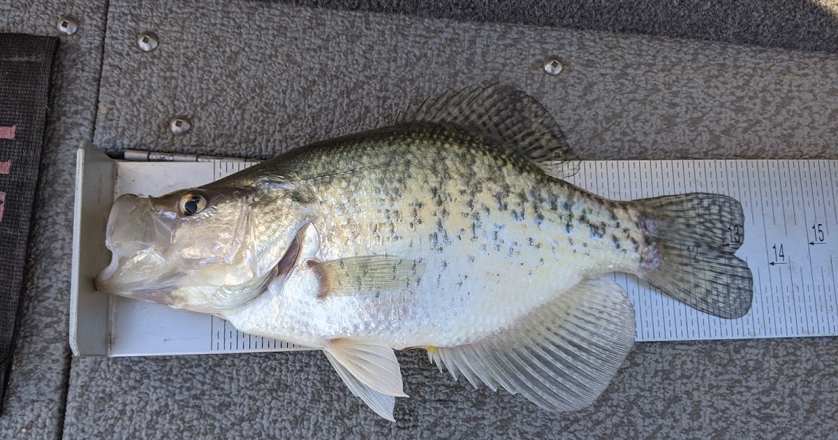 Jason's Fishing & Camping Blog Glendo Reservoir