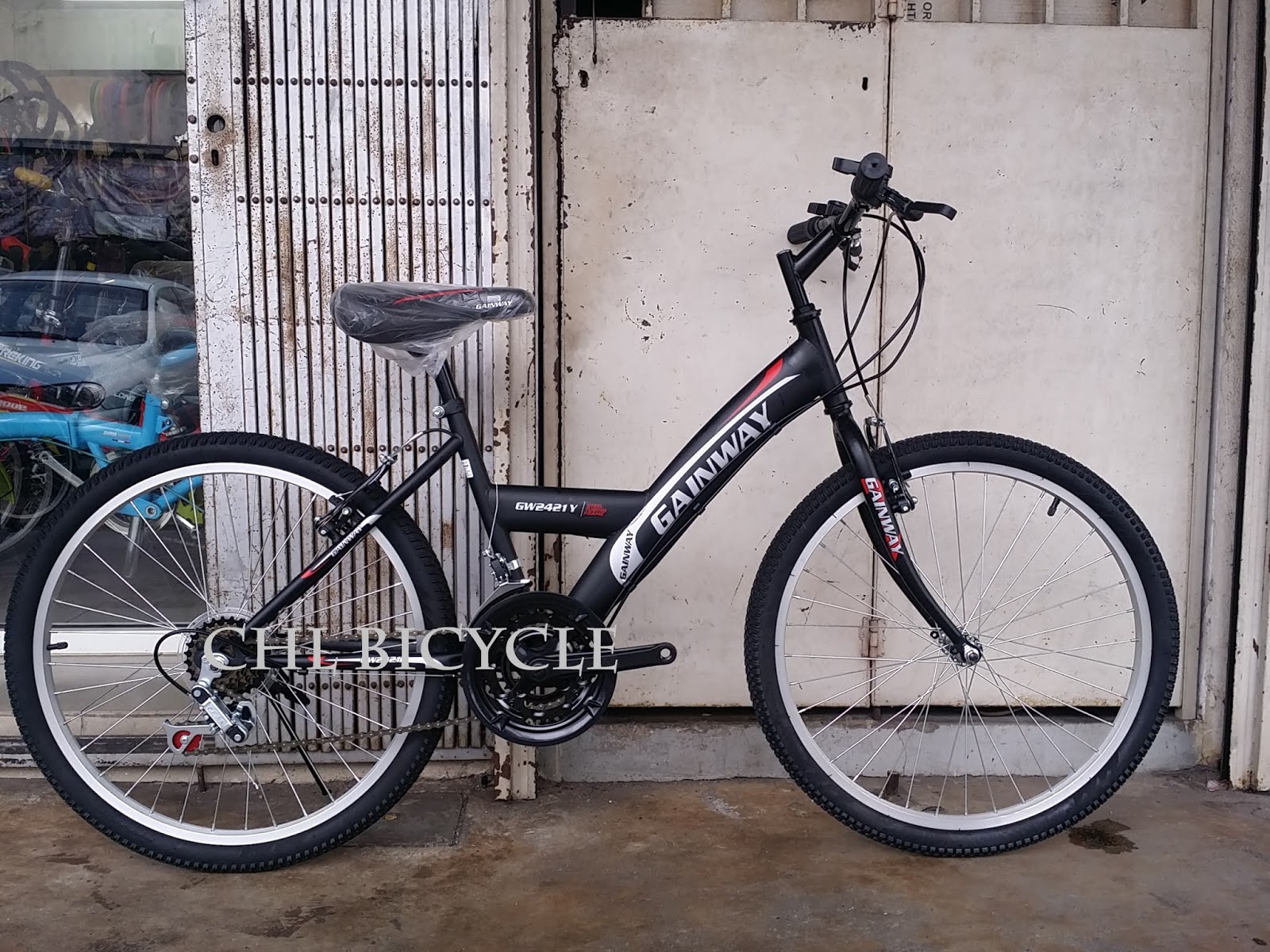 CHOO HO LEONG (CHL) Bicycle 24" Gainway YBike MTB