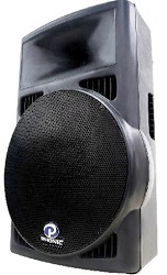 phonic 15 inch speakers